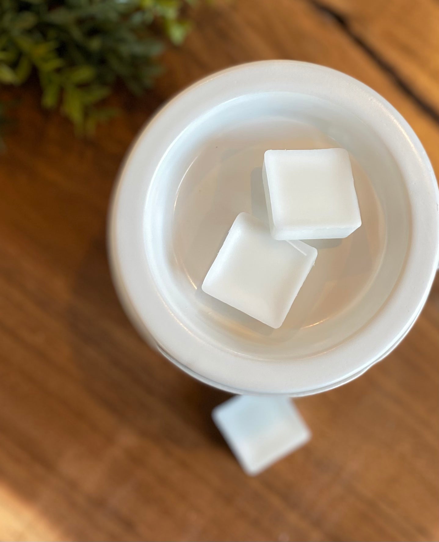 Sea Salt + Coconut Water | Wax Melt | Spring